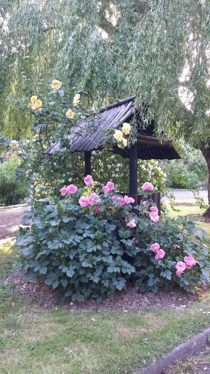 Riverfield Bed And Breakfast โกเรย์ ภายนอก รูปภาพ